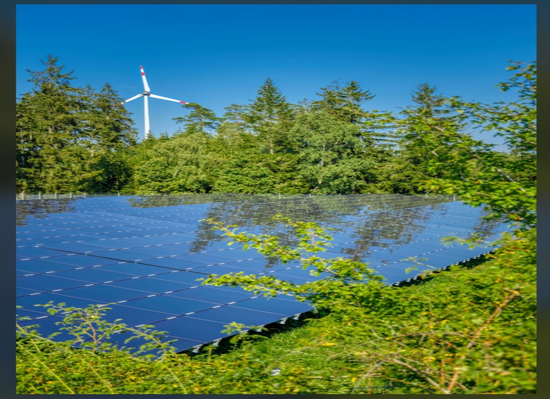 Environmental Risk Mitigation and Carbon Tracking